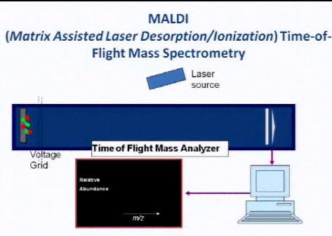 Abstract 6000: Mass spectrometry profiling after EGFR inhibitor therapy Chung et al. Abstract #6000, ASCO 2009; Taguchi et al JNCI, 2007 MALDI is a proteomic profiling tool in serum and plasma.