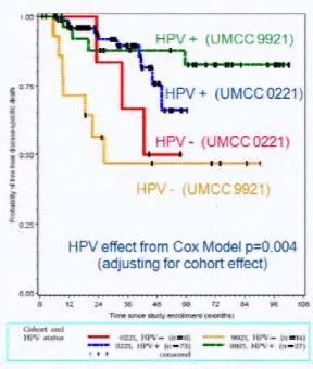 status and Treatment Efficacy by HPV