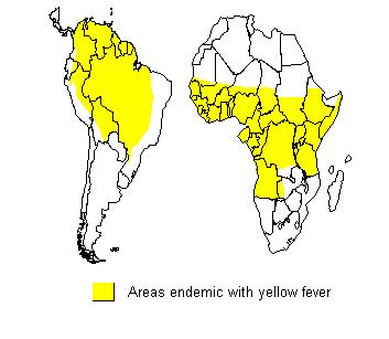 Where is Yellow Fever found?