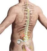 Spinal Cord Stimulation Failed back surgery Peripheral vascular disease