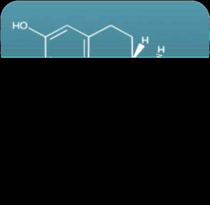 Estrogen (Estradiol) Natural Bioidentical Estradiol Human Estradiol Premarin CEE (Premarin) is