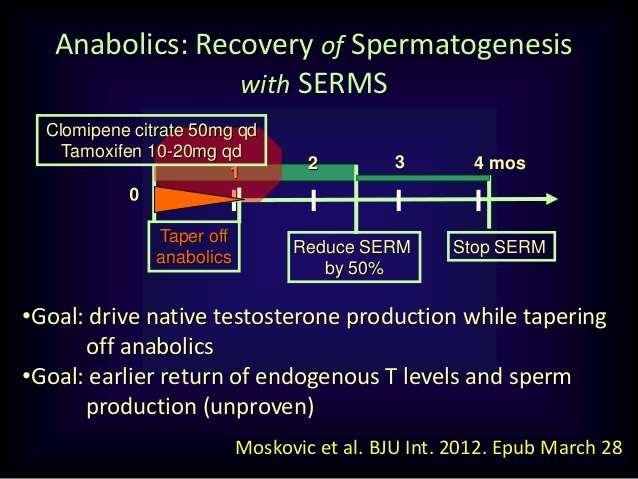 Recovery of spermatogenesis after T cessation One of the first steps in the medical management of male factor infertility is to suspend exogenous T to treat symptomatic