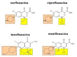Fluoroquinolones They are a family of synthetic broadspectrum antibiotic drugs.