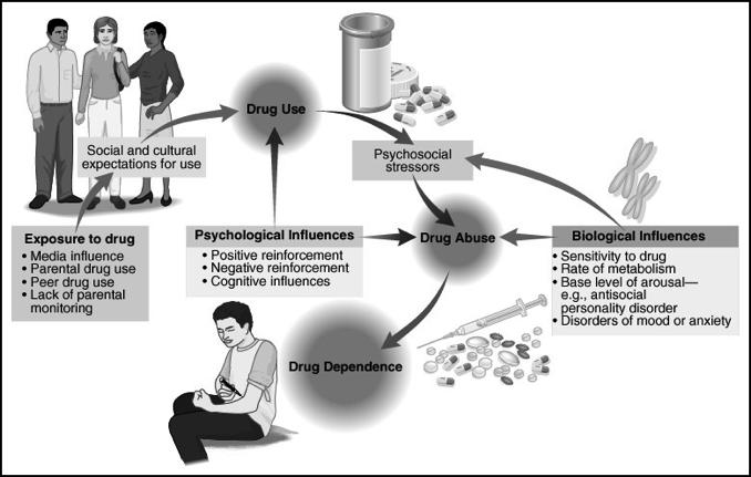 An Integrative Model What do drugs do?