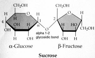 ATP is the main energy source used to drive most metabolic reactions.