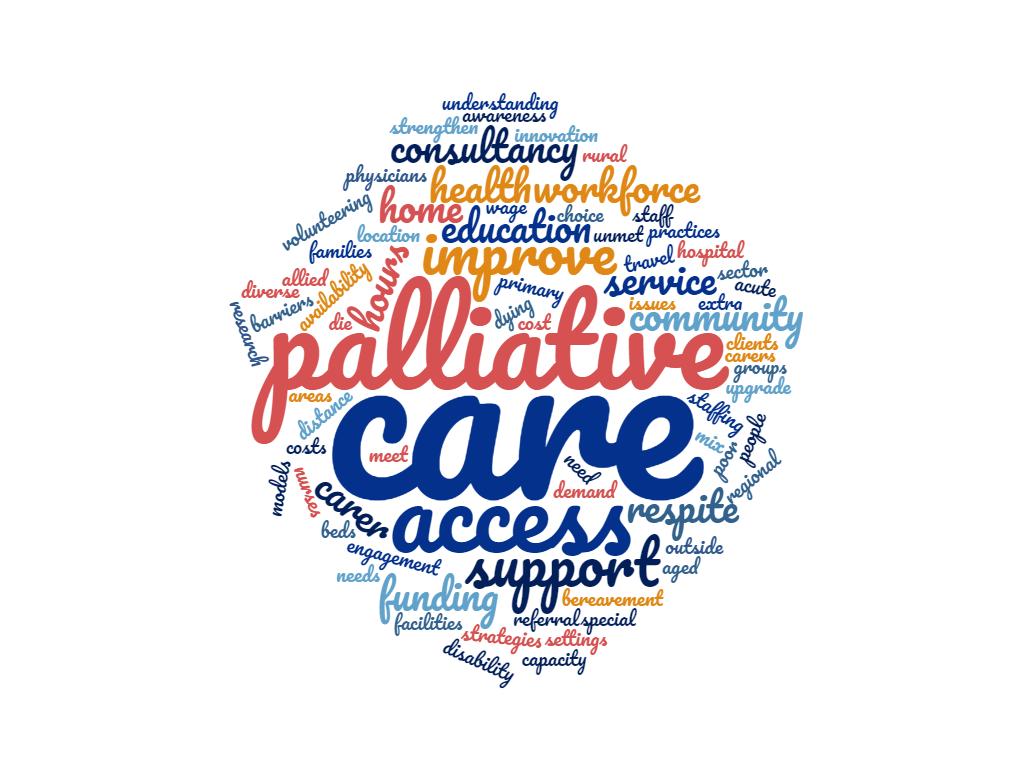 Report on Feedback from Victorian Palliative Care Services