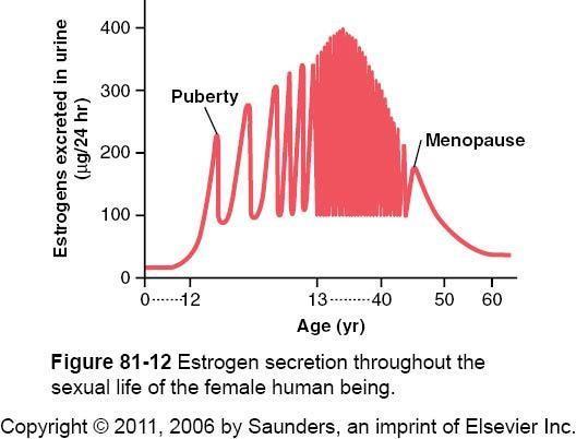 This diagram shows the relationship b/w Estrogen secretion & the age: From birth till puberty very little amount of estrogen is secreted. Then levels of estrogen secretion increase at puberty.
