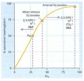 Hb-O2 dissociation curve