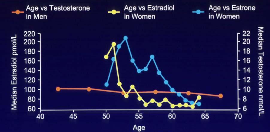 T in Men and E2 in Women During the Middle Years Massachusetts Women s