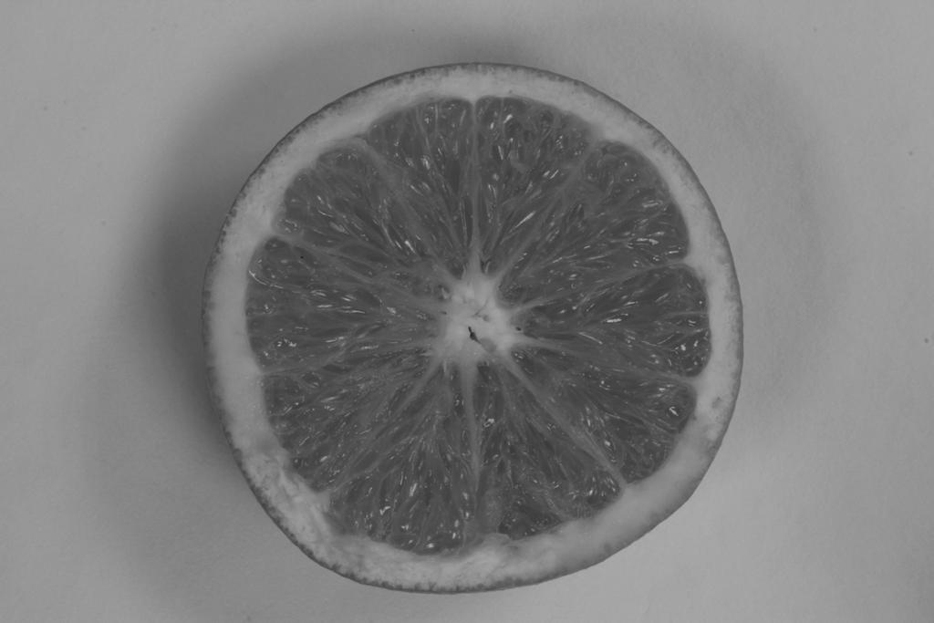 2 1 Fig. 1.1 shows part of an orange. Fig. 1.1 (a) Make a large, labelled drawing of the cut surface of this fruit to show the internal structure.