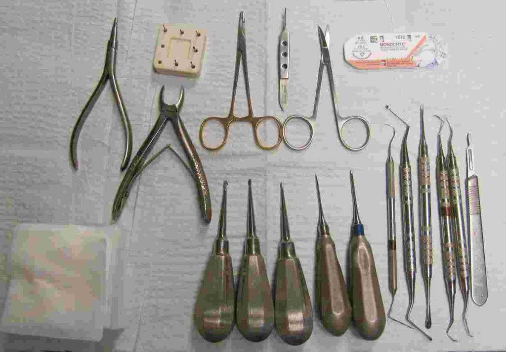 Dentistry and Oral Surgery Instruments Your pet will have their