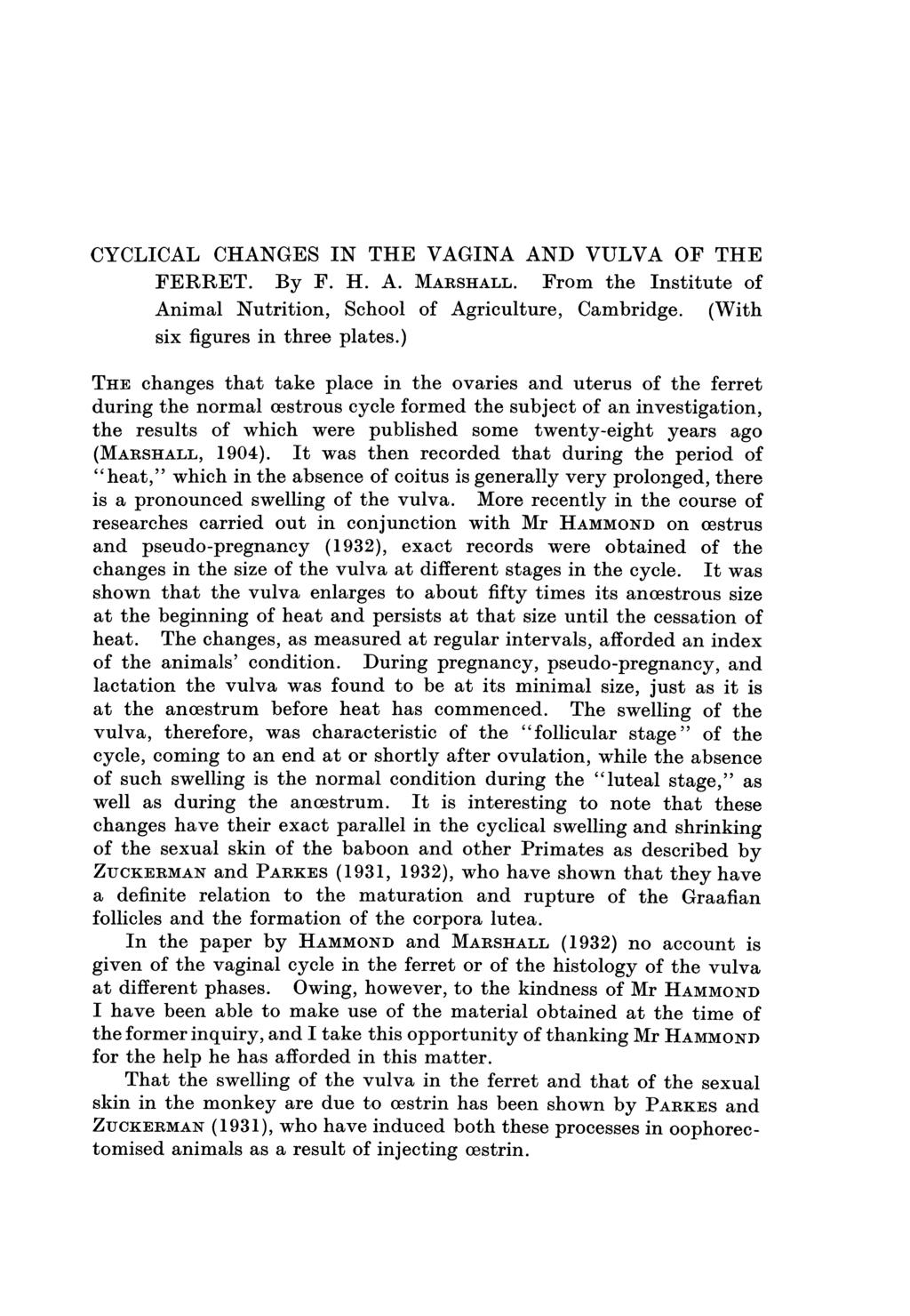 CYCLICAL CHANGES IN THE VAGINA AND VULVA OF THE FERRET. By F. H. A. MARSHALL. From the Institute of Animal Nutrition, School of Agriculture, Cambridge. (With six figures in three plates.