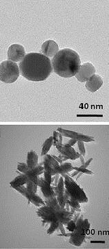 Choice of MNM TiO2 Anatase Rutile Anatase would produce more oxidative stress and suggested to be more toxic (Xue et al.