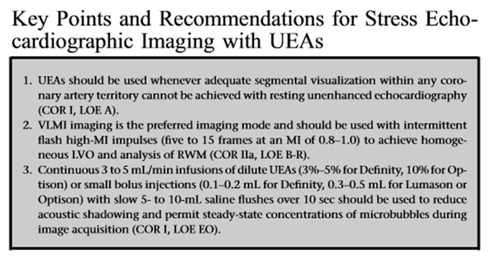 . VLMI is preferred imaging mode for RWM analysis at rest and stress in