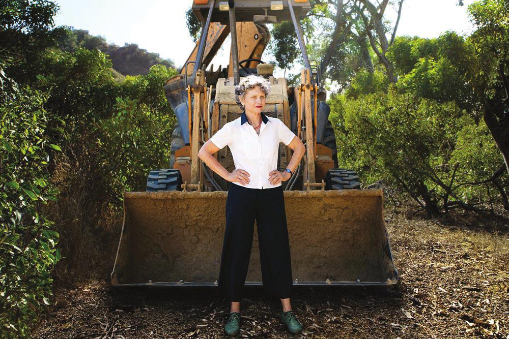 Meet Professor Pincetl Meet The Hyltons UCLA professor and environmental expert Stephanie Pincetl once faced down a bulldozer ripping out the chaparral near her childhood home in rural San Diego