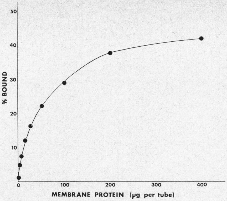 Fig. 1. Effect of concentration of membrane protein in the incubation mixture on binding of [!25I]hTSH to the membrane. preparations.