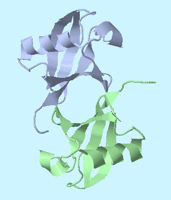 Ubiquitin 35 Protein Quaternary Structure Quaternary structures are
