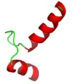 Examples of motifs Helix-loop-helix is found in many proteins that