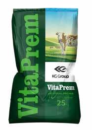 VITAPREM STANDART FOR DRY COWS VitaPrem STANDART is indicated for dry cows; they improve reproductive characteristics of cattle and their wellness.