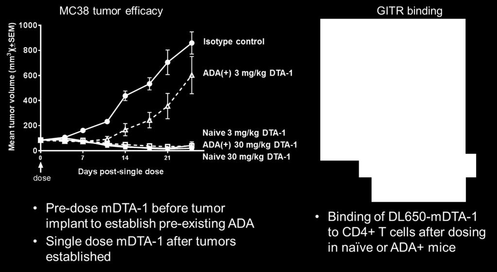 single-dose anti-tumor efficacy 19