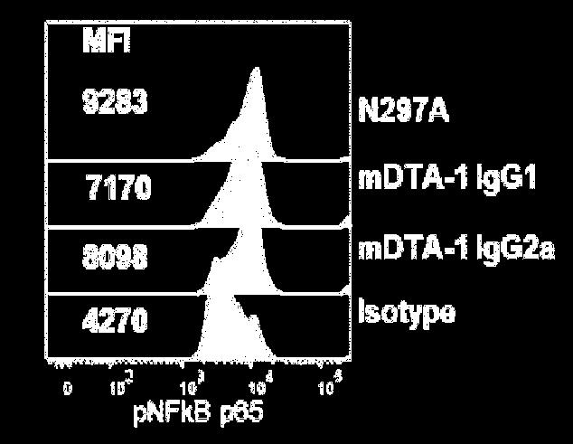 Fc-mediated depletion mdta-1 IgG2a and N297A