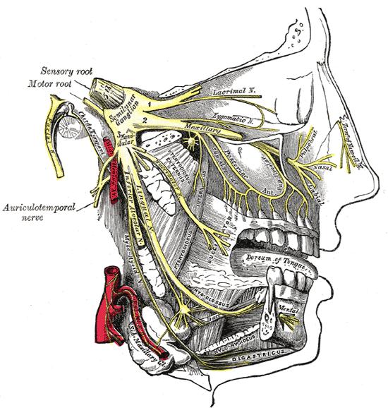 Trigeminal Neuralgia What is it? What causes it?