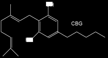 These include: cannabidiol (CBD), Δ9- tetrahydrocannabivarin (Δ9-THCV), cannabigerol (CBG), as well as the acid metabolites of THC and CBD. CBD is the second most well understood cannabinoid.