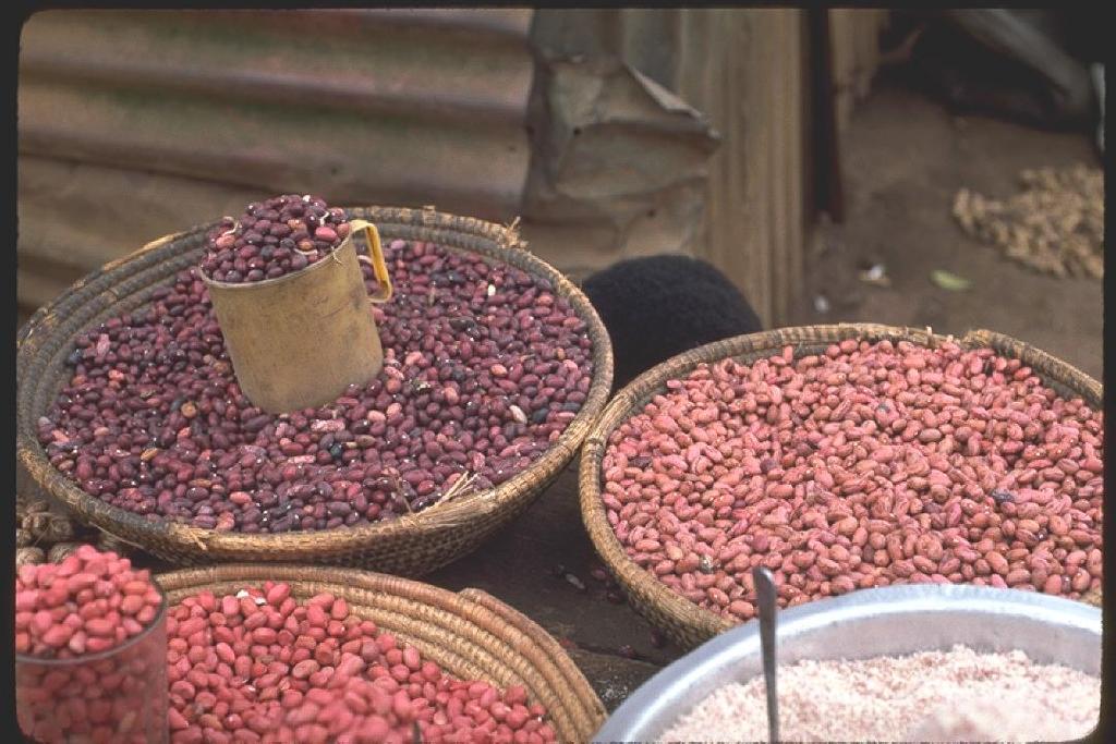 Biofortification of Iron and Zinc in Bean In some parts of Africa, an