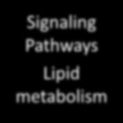 Heart Disease Diabetes: Type-2 Signaling Pathways Lipid metabolism Inflammation