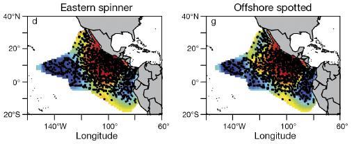 Using recorded number and location of purse-seine sets, recorded location of dolphin schools, and dolphin movement patterns based on tracking studies, an Exposure Index can be created.