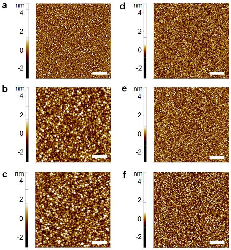 Supplementary Fig. 1 Atomic force microscopy topography images Two-dimensional atomic force microscopy images (with an area of 1 m 1 m) of Cu and Cu(O = 5.