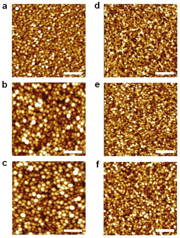 Supplementary Fig. 2 Highly magnified atomic force microscopy topography images Magnified views of atomic force microscopy images corresponding to Supplementary Fig. 1.