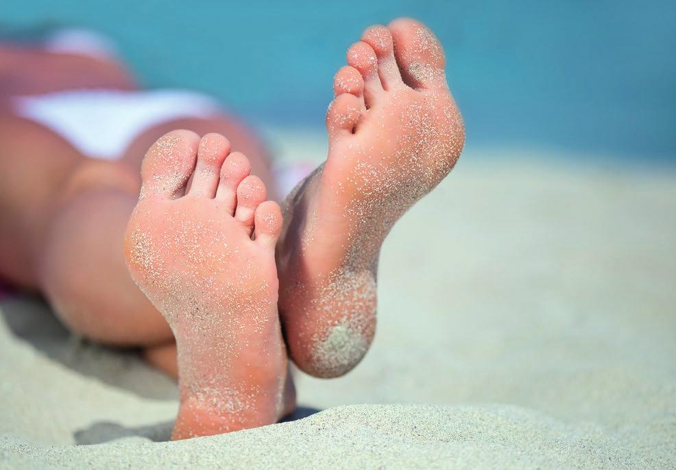 The feet support the full weight of the body during the day.