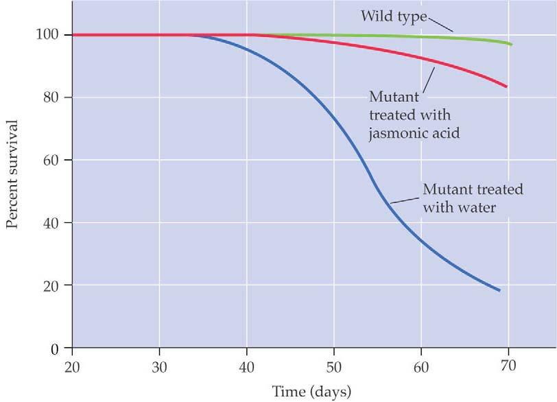JA protects plants from insects Fatty acids as signaling molecules Jasmonic acid (a component of signal transduction pathway) JA is a plant growth regulator derived form 18:3, and is capable