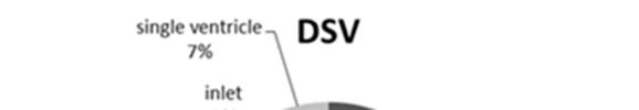 Figure 1. DSV type in TAB Of the 54 cases found 47 cases of TAG accompanied by VSD. Most often type was perimembran, while the rarest was doubly commited type.