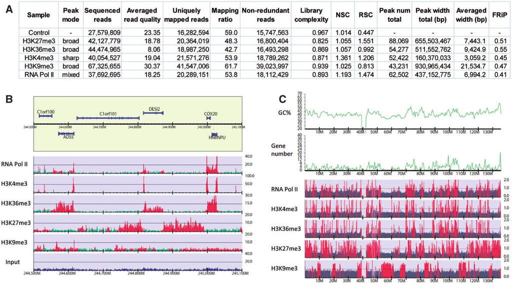 4 Nakato and Shirahige Figure 2. Statistics and visualization of ChIP-seq analysis for human K562 cells. A representative data set of ENCODE consortium [45].