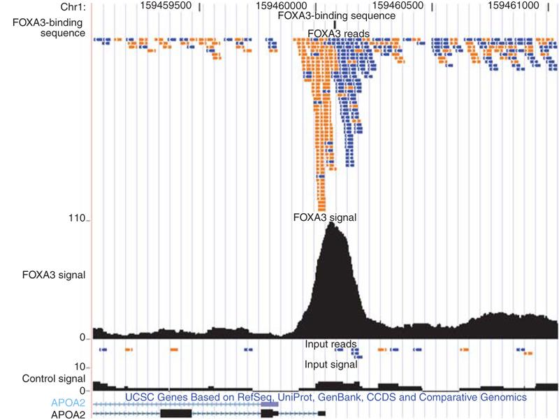 ChIP-seq peak: Illustration An illustration of a strong TF binding site