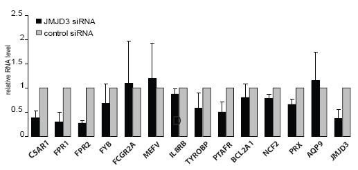 JMJD3 positively regulates NF- B JMJD3 knock-down: --- NF- B effectors suppressed --- NF- B