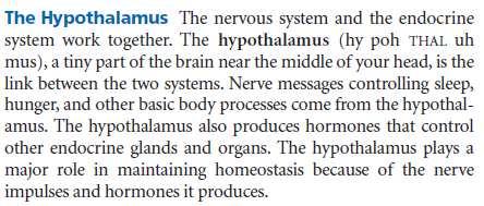 SYSTEM INTERACTIONS Endocrine System The nervous system receives and responds to information from the body to maintain homeostasis.
