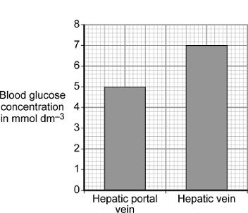 (b) Graph 2 shows the concentration of glucose in the two blood vessels 6 hours after the meal.