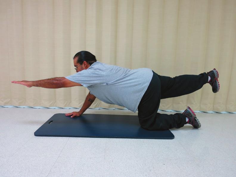 Lower back down to starting position and repeat with your left arm and right leg. Repeat as recommended.