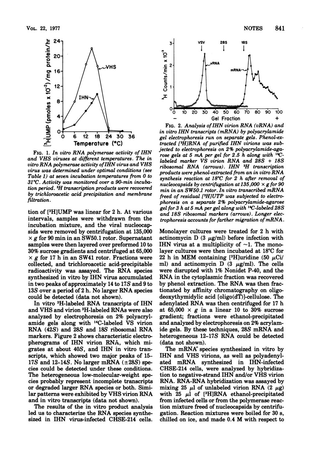 VOL. 22, 1977 24-.@20-0 E. 1VHS EG 12- x E4 - ~~HN 0~ D 0 6 12 18 24 30 Temperature (OC) 36 FIG. 1. In vitro RNA polymerase activity of IHN and VHS viruses at different temperatures.