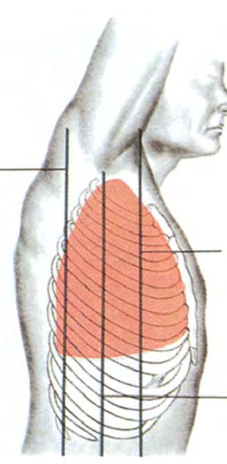Figure 3-5. Landmarks for chest tube insertion. (7) Explore the pleural space.