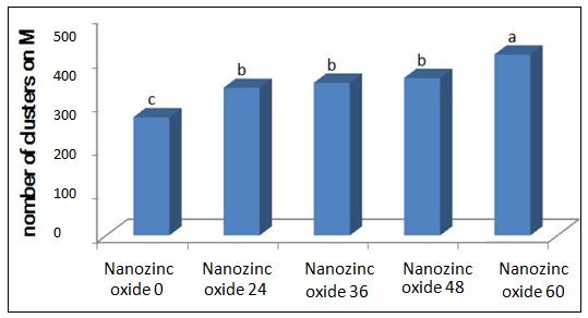 2. Comparison of the effects of different amounts of fertilizer zinc oxide nano- clusters.