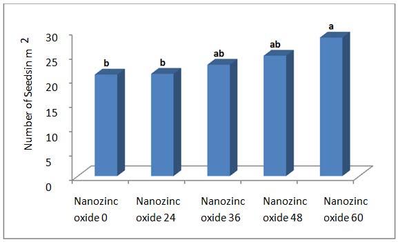 . Comparison of the effects of different amounts of zinc oxide nano fertilizer, seeds per panicle.