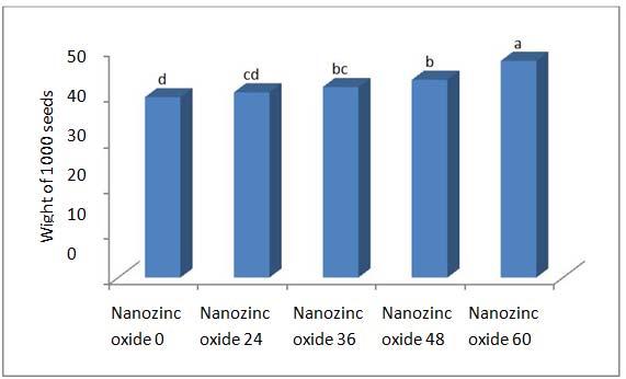 6. Comparison of the effects of different amounts of zinc oxide nano fertilizer, seed weight.