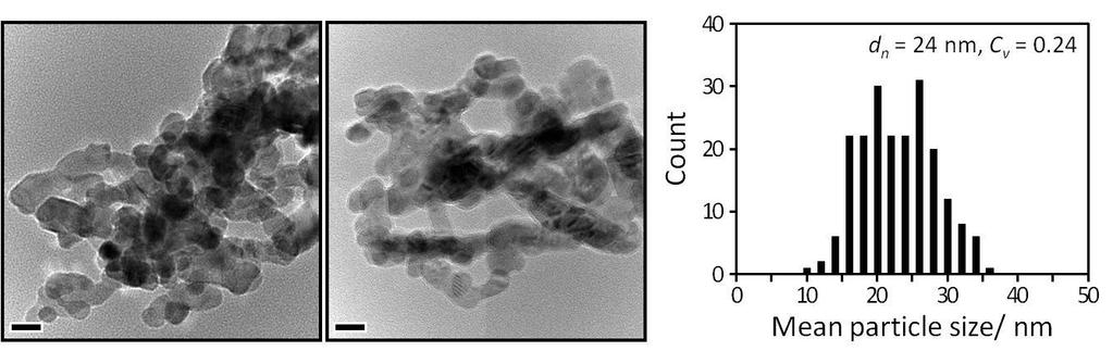 Fig. S1 TEM images and size distribution of raw ZnO nanoparticles (scale bar; 20 nm). Fig.