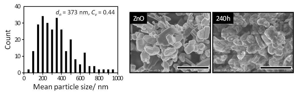 Fig. S7 Particle size distribution of large ZnO particles and FESEM images of the raw ZnO and product (scale bar; 1 μm).