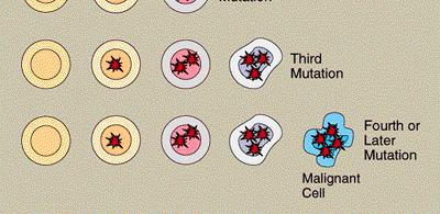mutate to oncogenes - tumor suppressor genes -