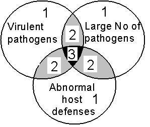 Figure 8: Schematic illustration of various risk factors for neonatal diarrhea (Adapted from Osbone).